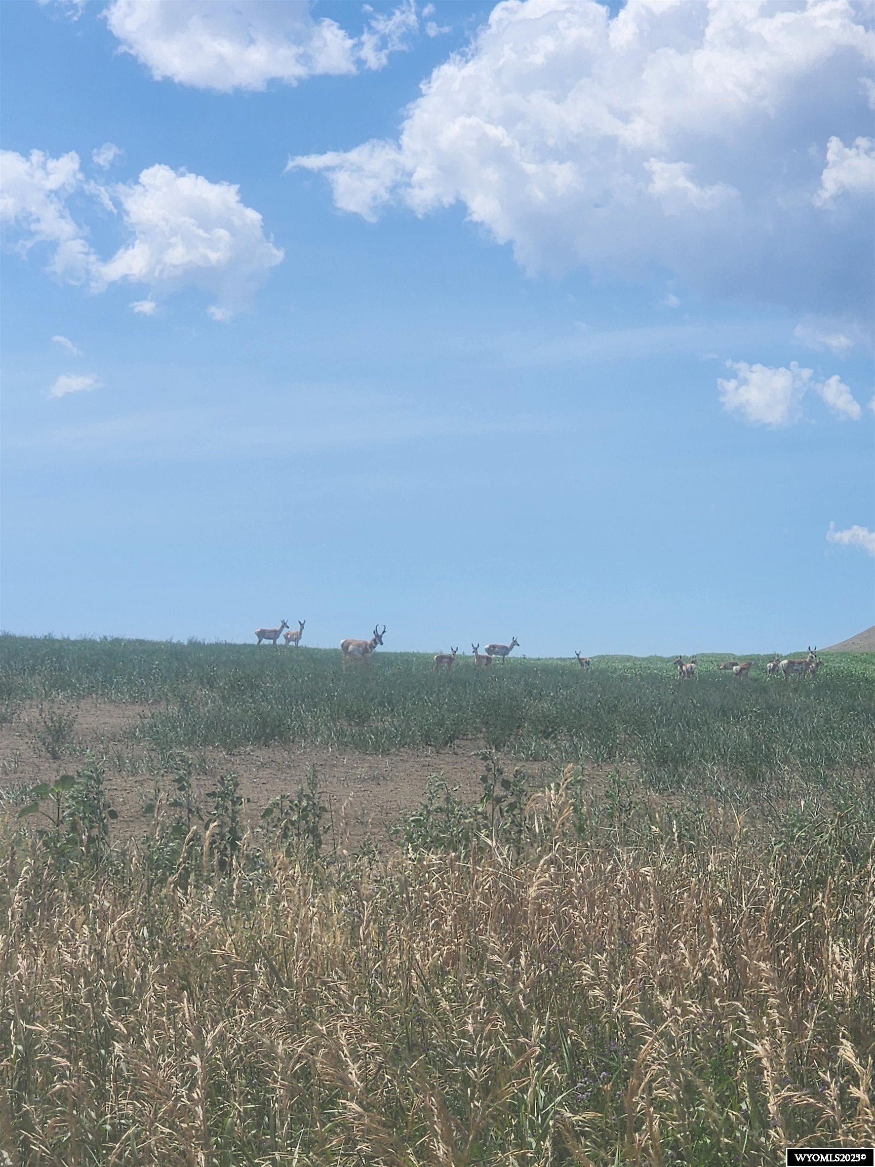 8 Headquarters Lane Hiland, WY 82638 - Photo 10 of 10