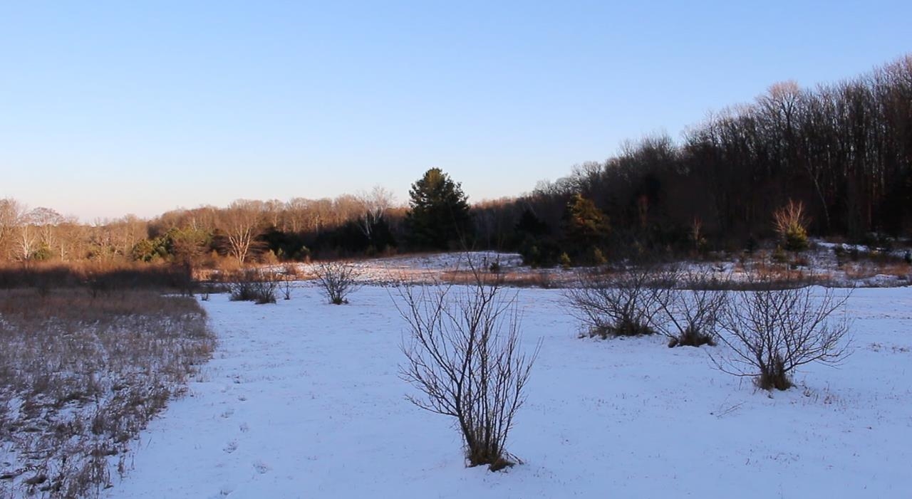 2217 South Rolland Road Remus, MI 49340 - Photo 42 of 42 1895933-41.JPG