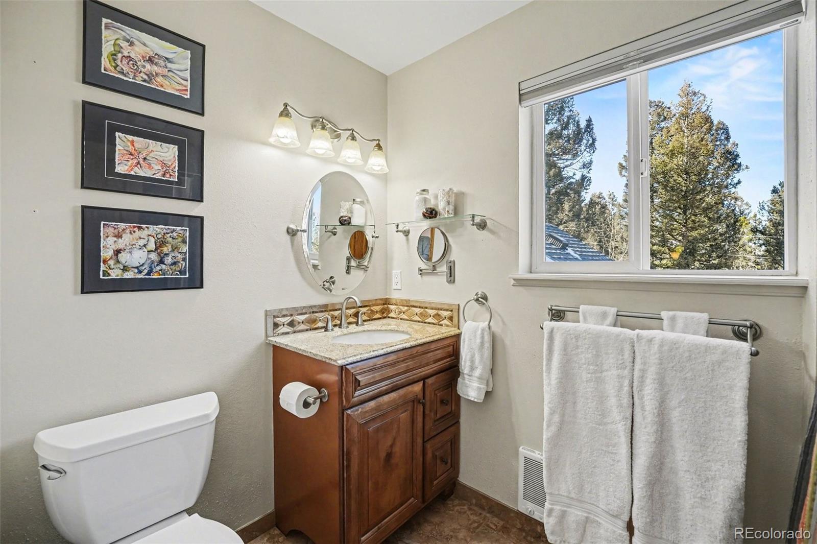 9780 South Warhawk Road Conifer, CO 80433 - Photo 19 of 44 a bathroom with a toilet a sink and a mirror