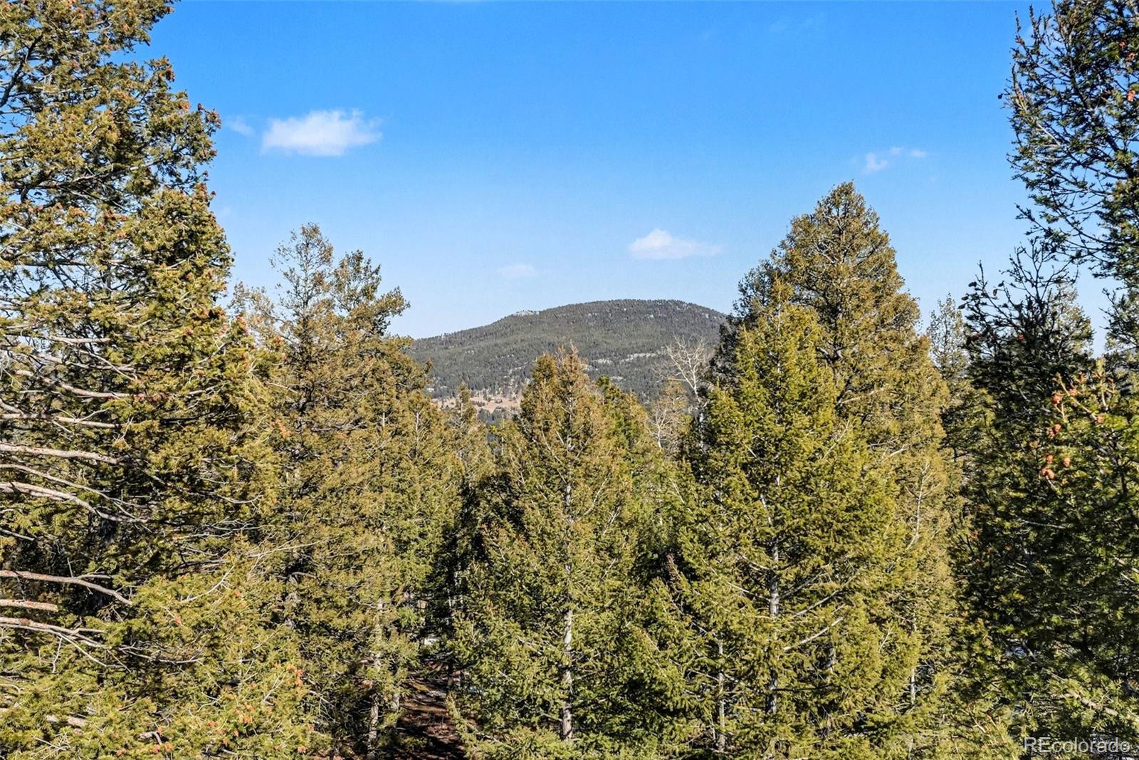 9780 South Warhawk Road Conifer, CO 80433 - Photo 22 of 44