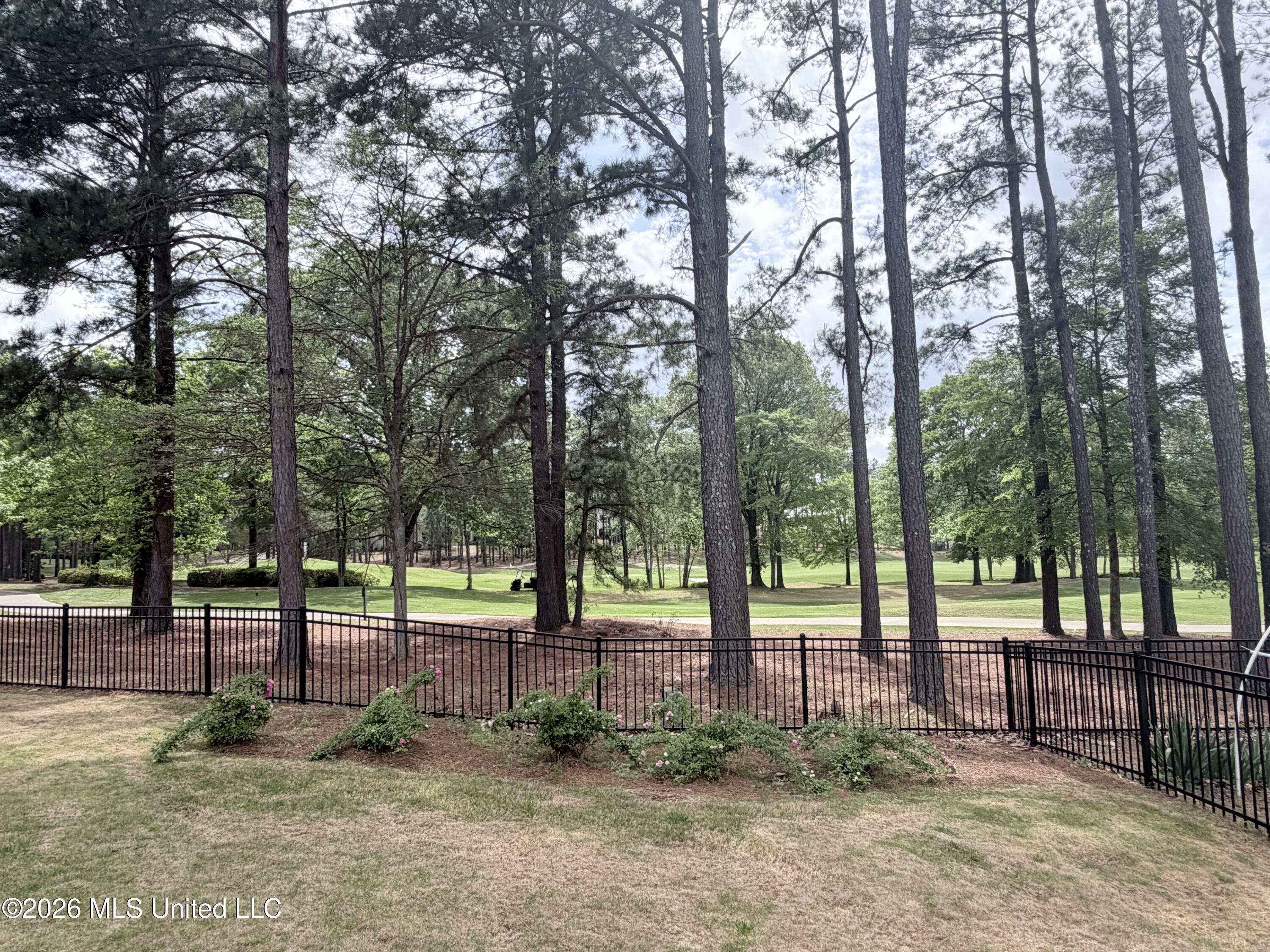 109 Dalton Pointe Madison, MS 39110 - Photo 64 of 64 IMG_8217