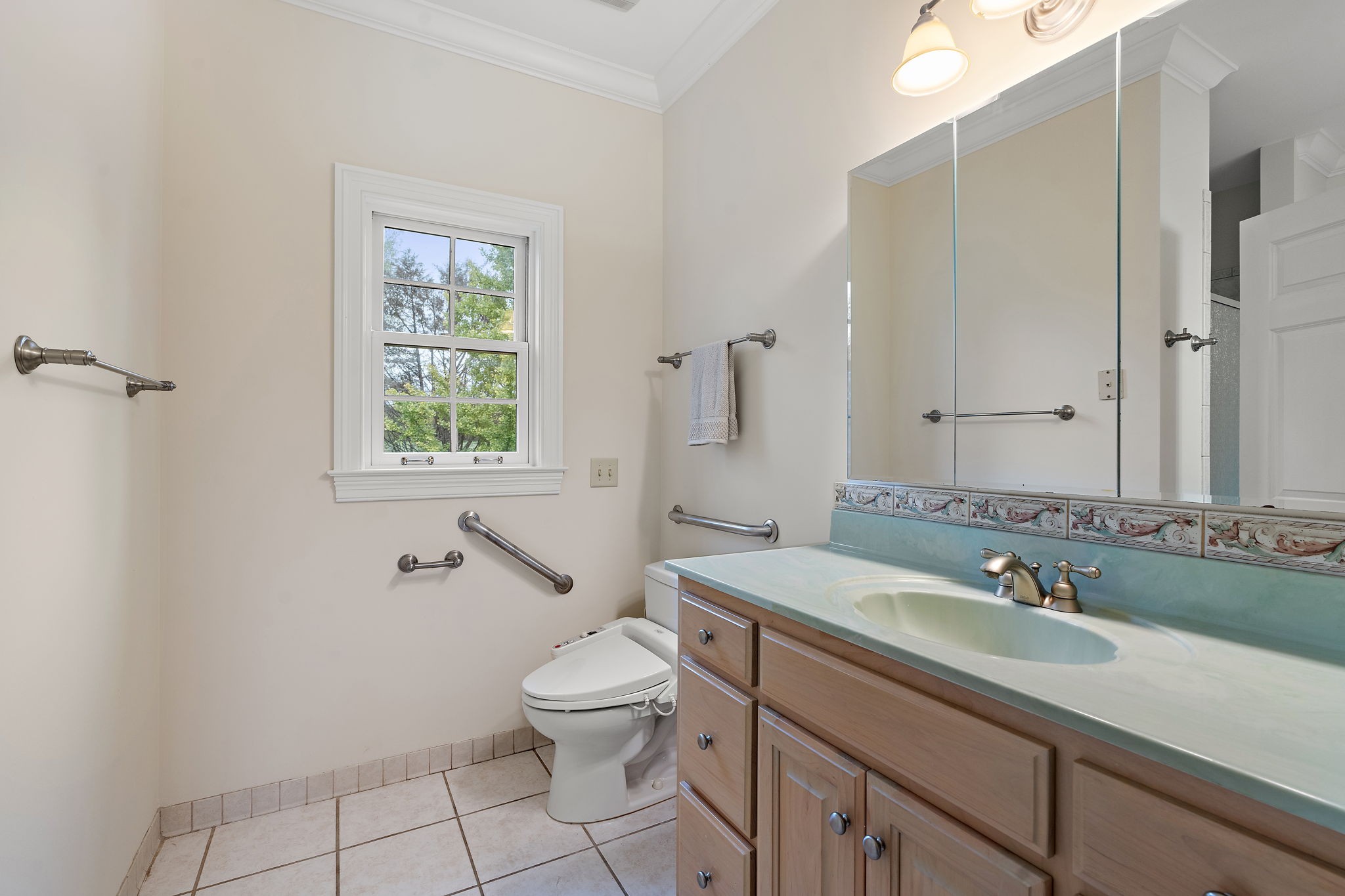 303 Middlefield Lane Lascassas, TN 37085 - Photo 28 of 49 a bathroom with a sink toilet and a mirror