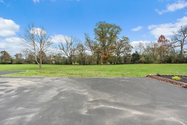 a view of a large garden with plants and large trees