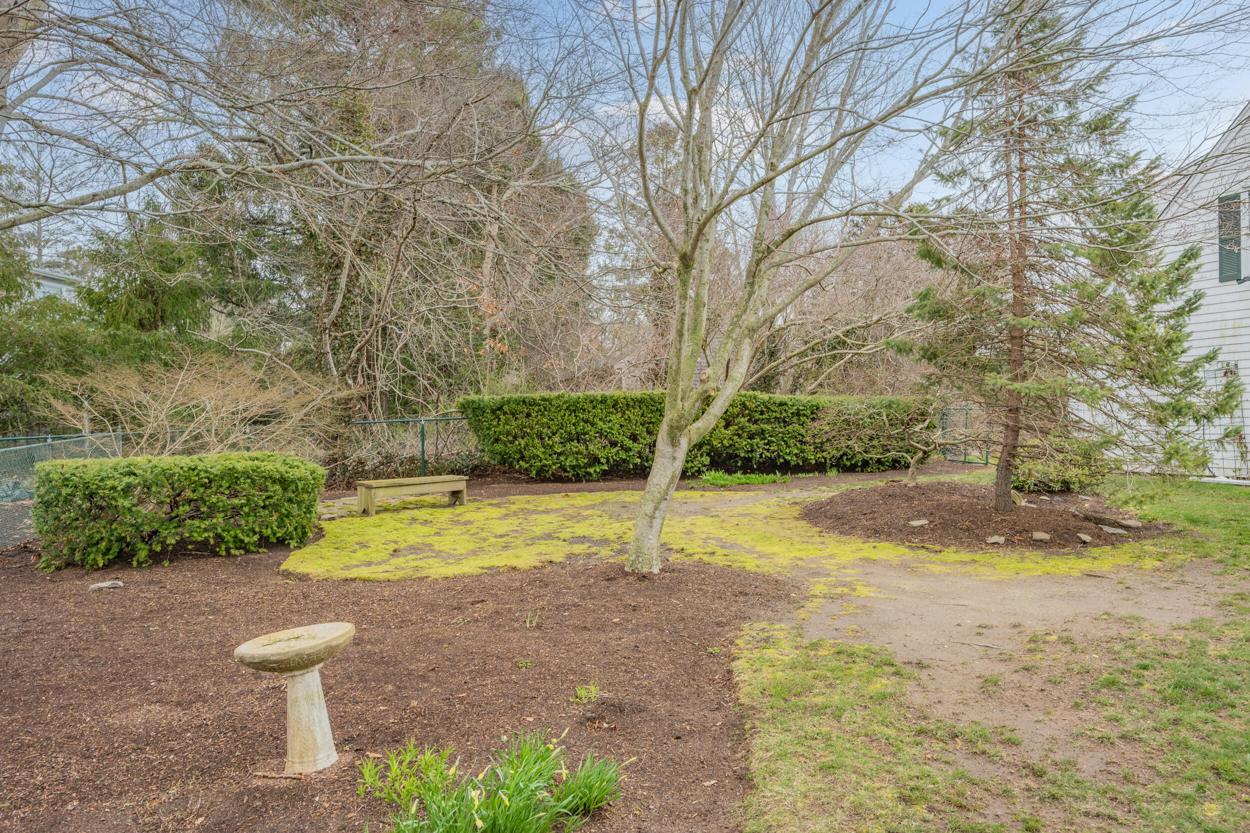 278 Riverview Lane Centerville, MA 02632 - Photo 45 of 50 Backyard