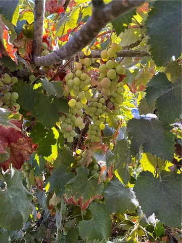 a utility room with two washing machine