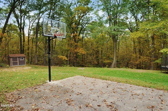 3630 South Massbach Road Stockton, IL 61085 - Photo 16 of 25 a small garden covered with tall trees
