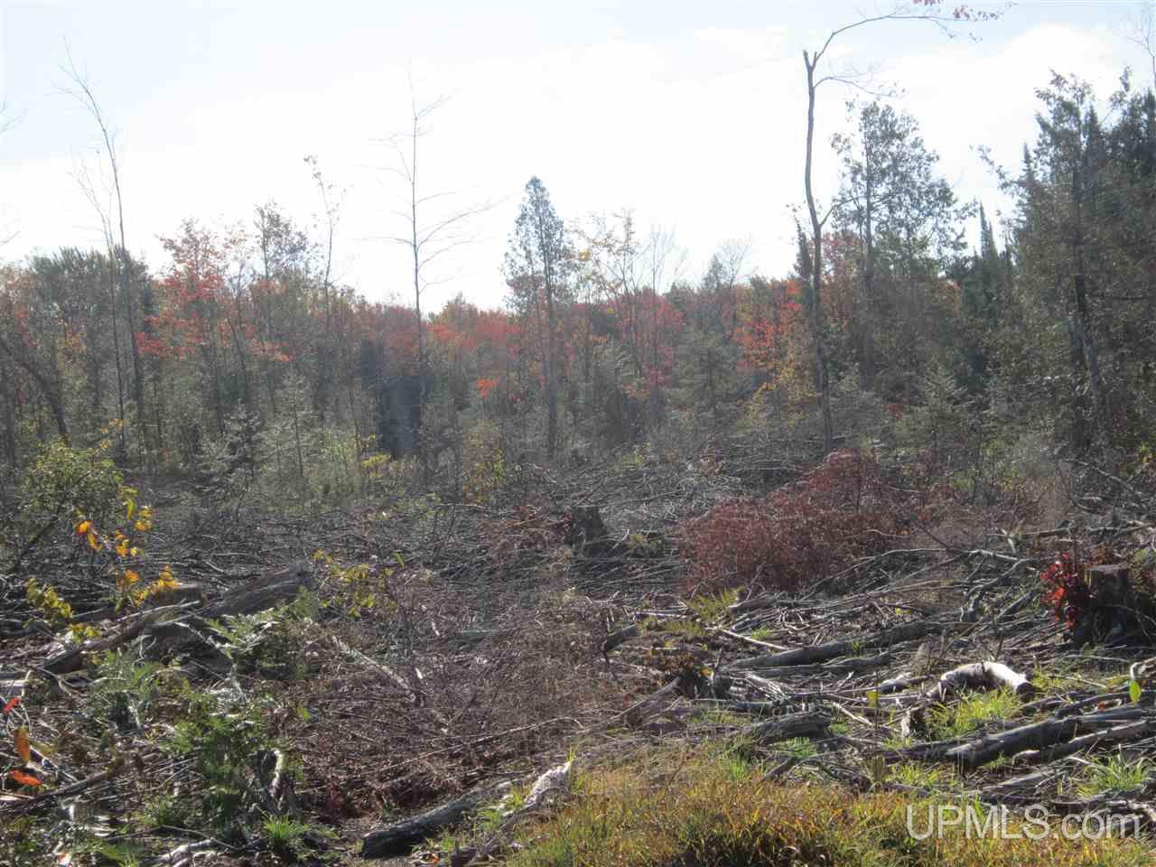 N2003 Sturgeon River Road Munising, MI 49862 - Photo 27 of 36