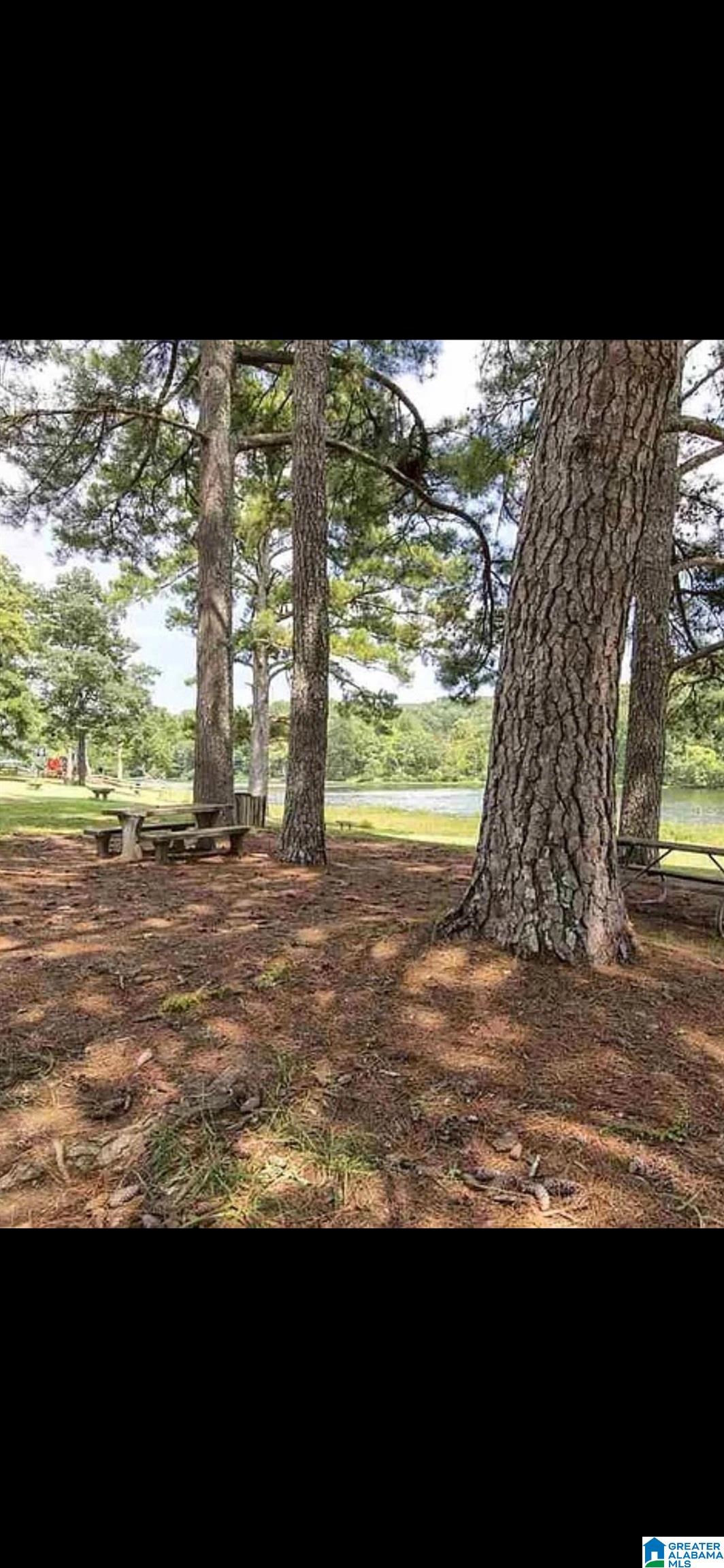 5637 Oak Mountain Lake Road Birmingham, AL 35242 - Photo 68 of 70
