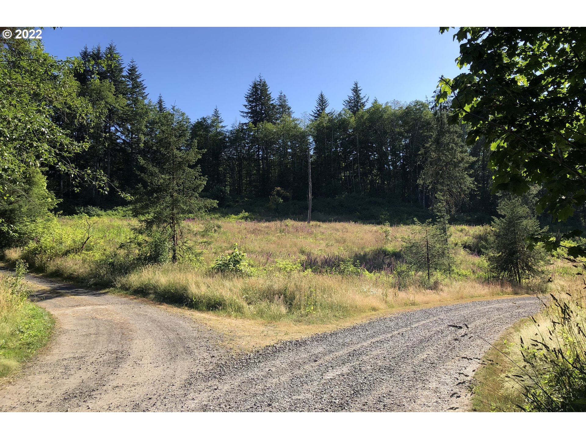 Christmas Tree Road Seaside, OR 97138 - Photo 1 of 17 Gallery Image 1