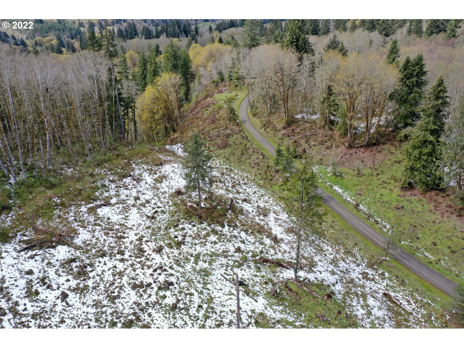 Christmas Tree Road Seaside, OR 97138 - Photo 16 of 17 Gallery Image 16