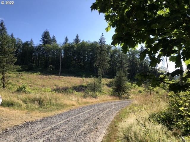 Christmas Tree Road Seaside, OR 97138 - Photo 2 of 17 Gallery Image 2