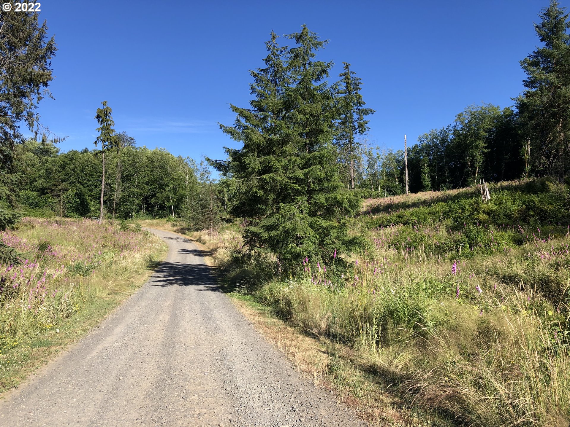 Christmas Tree Road Seaside, OR 97138 - Photo 9 of 17 Gallery Image 9