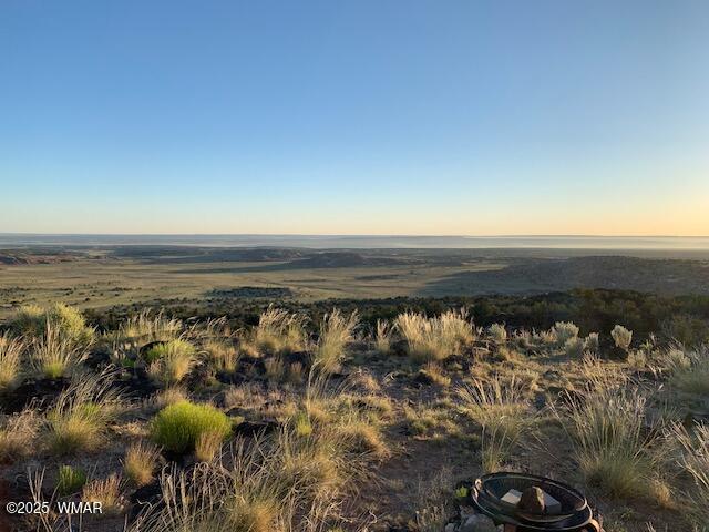 45 County Rd N6506 St. Johns, AZ 85936 - Photo 11 of 24 IMG_0432