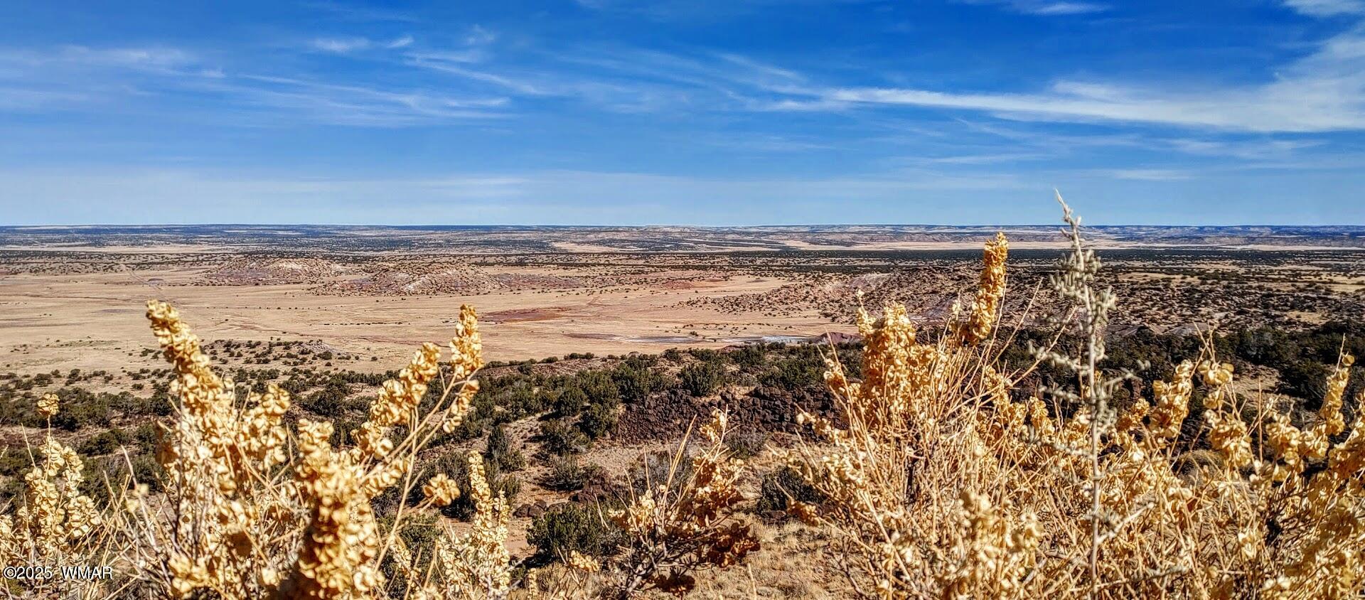 45 County Rd N6506 St. Johns, AZ 85936 - Photo 13 of 24 0219251114a