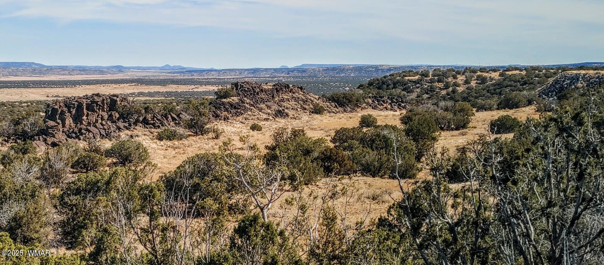 45 County Rd N6506 St. Johns, AZ 85936 - Photo 14 of 24 0219251120a