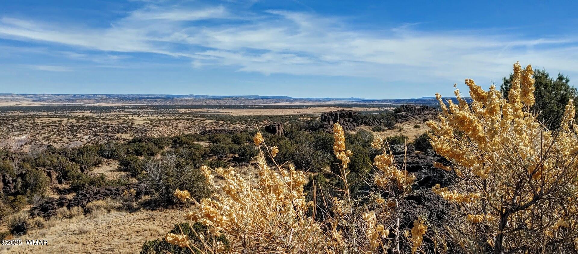 45 County Rd N6506 St. Johns, AZ 85936 - Photo 15 of 24 0219251114b