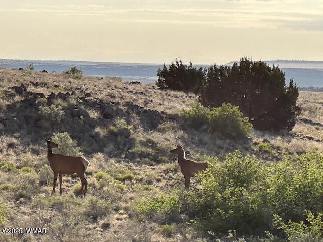 45 County Rd N6506 St. Johns, AZ 85936 - Photo 17 of 24 IMG_0843