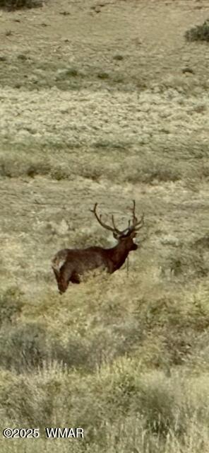 45 County Rd N6506 St. Johns, AZ 85936 - Photo 18 of 24 unnamed (1)