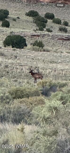 45 County Rd N6506 St. Johns, AZ 85936 - Photo 19 of 24 unnamed