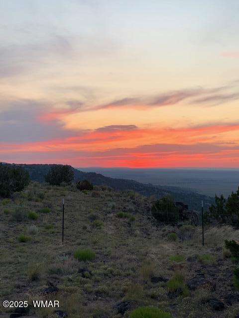45 County Rd N6506 St. Johns, AZ 85936 - Photo 20 of 24 IMG_0325