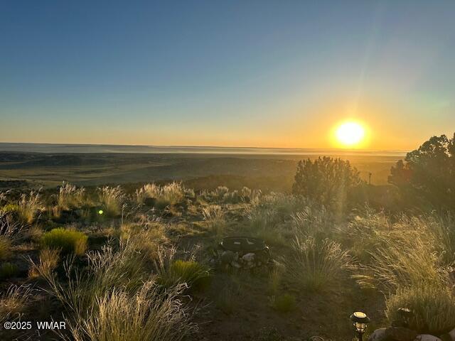 45 County Rd N6506 St. Johns, AZ 85936 - Photo 21 of 24 IMG_1331