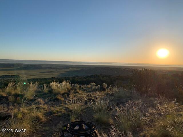 45 County Rd N6506 St. Johns, AZ 85936 - Photo 22 of 24 IMG_0434
