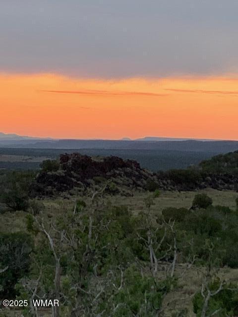 45 County Rd N6506 St. Johns, AZ 85936 - Photo 23 of 24 IMG_6236