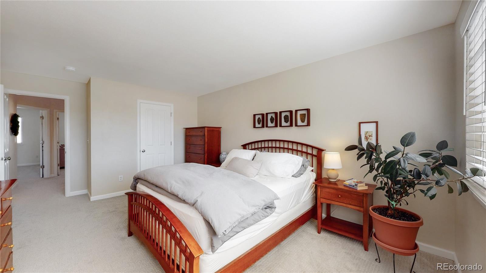 4841 Tarcoola Lane Highlands Ranch, CO 80130 - Photo 19 of 39 a bedroom with a bed and a potted plant