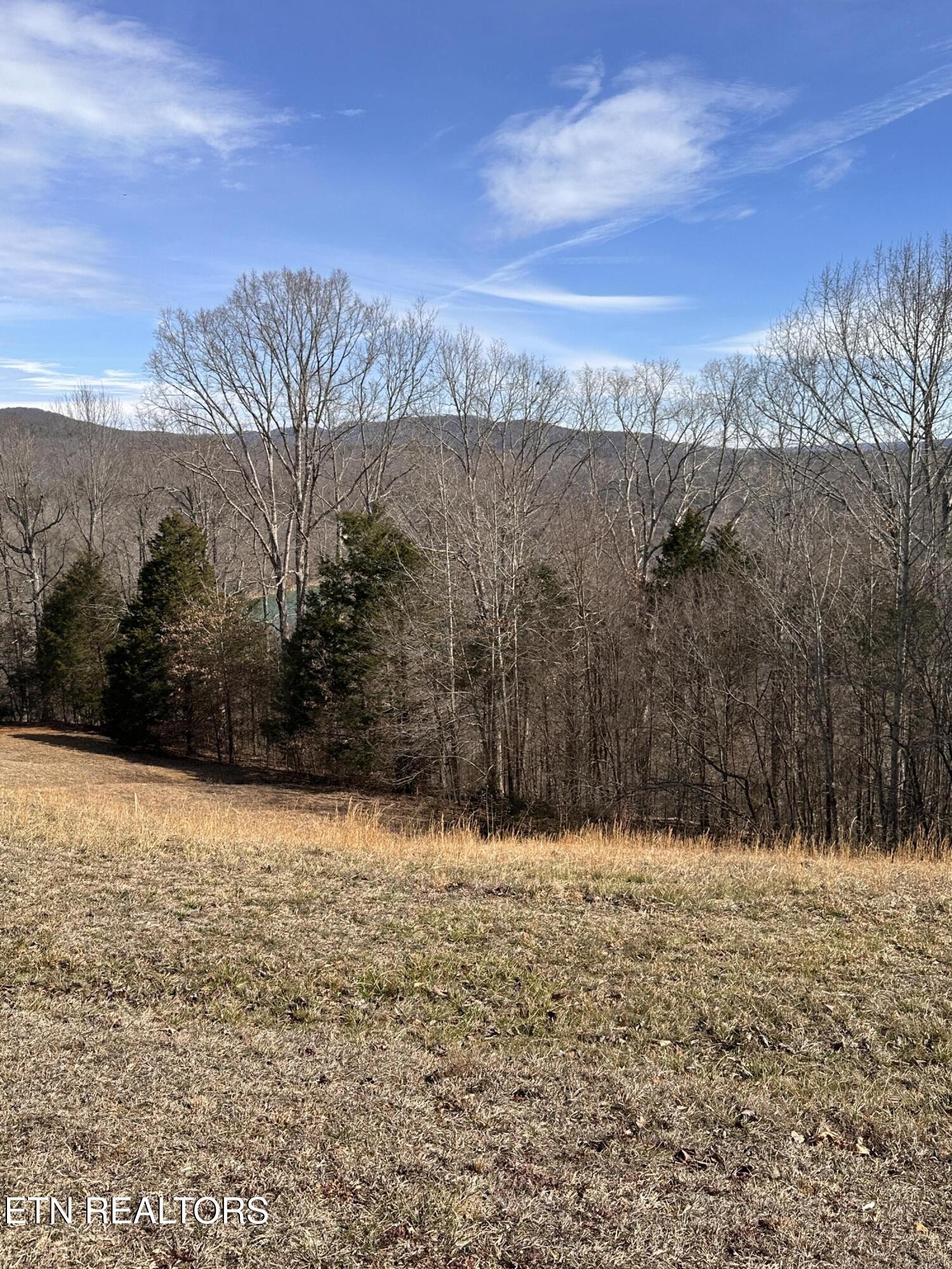 0 Cliff Edge Road Monroe, TN 38573 - Photo 1 of 9 Gallery Image 1