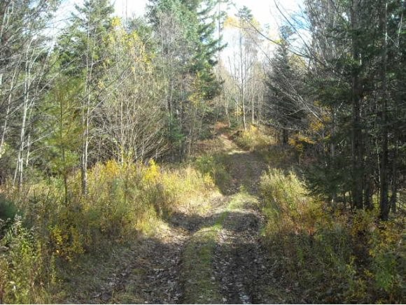 0 Town Line Road Craftsbury Common, VT 05827 - Photo 2 of 8