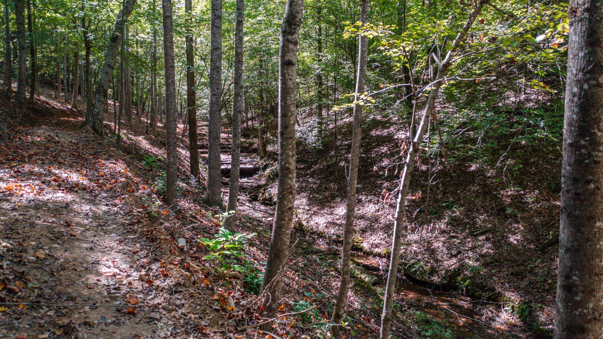 2341 Rhea Branch Road Ethridge, TN 38456 - Photo 60 of 70 Gallery Image 60