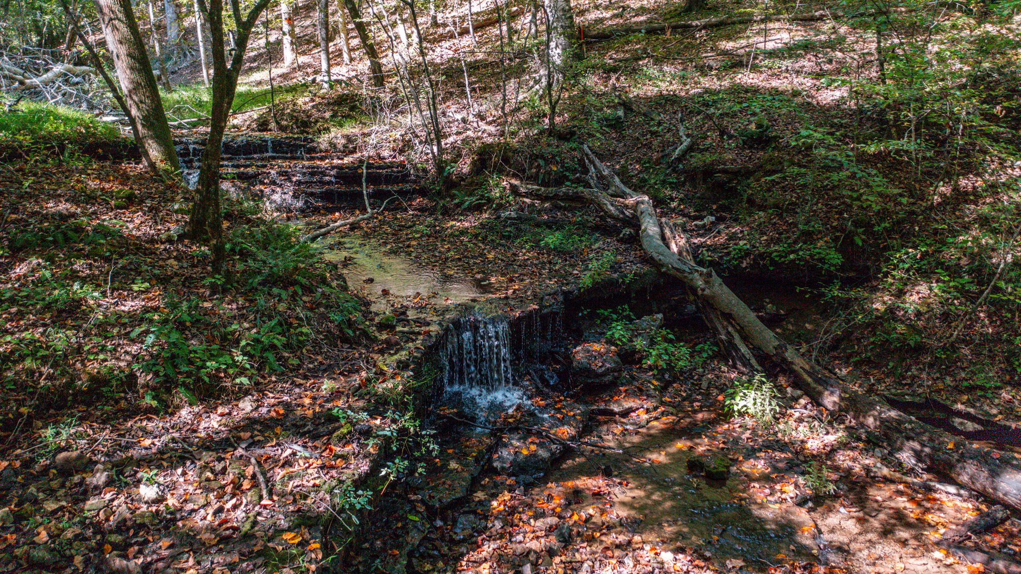 2341 Rhea Branch Road Ethridge, TN 38456 - Photo 63 of 70 Gallery Image 63