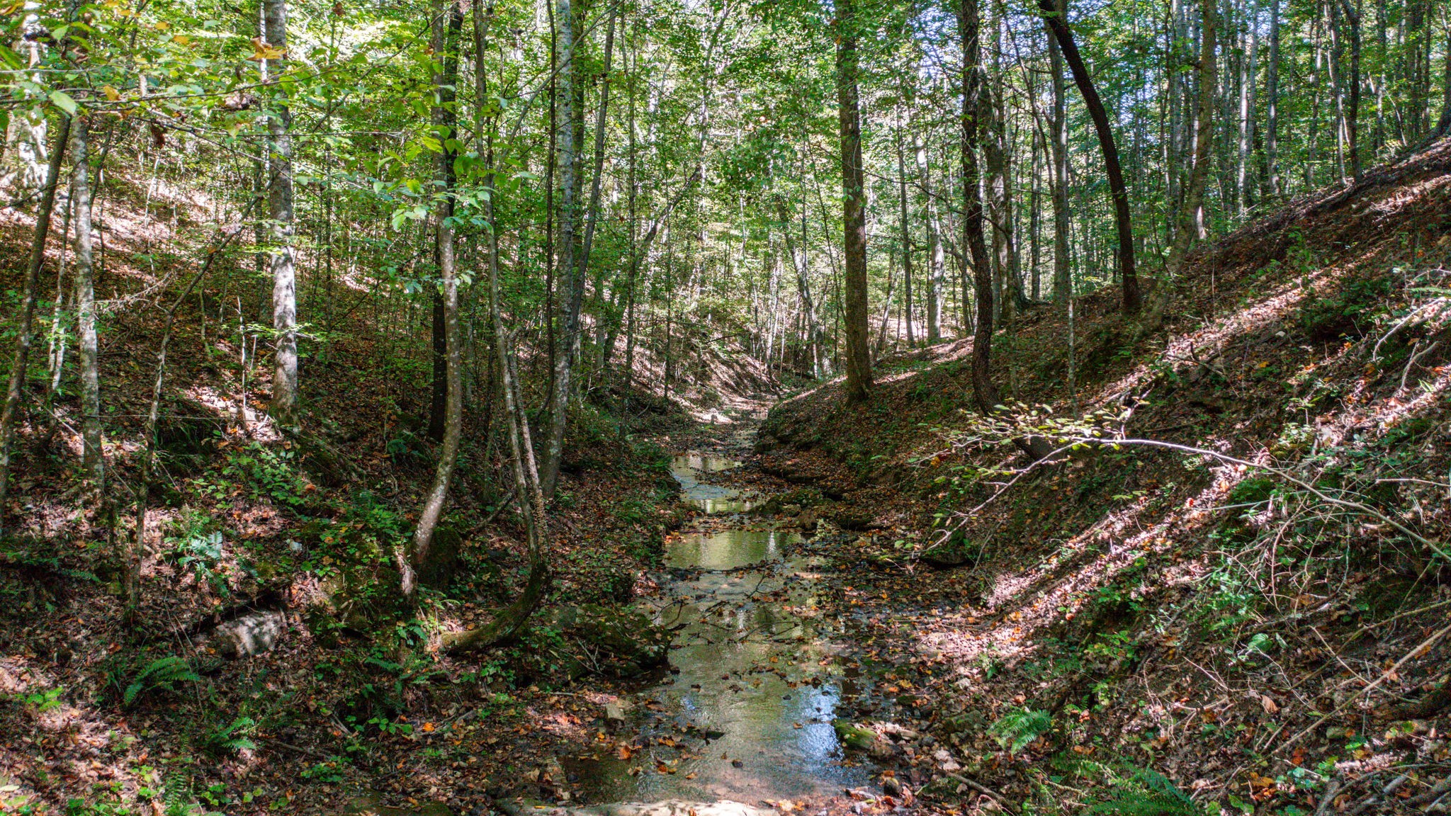2341 Rhea Branch Road Ethridge, TN 38456 - Photo 65 of 70 Gallery Image 65
