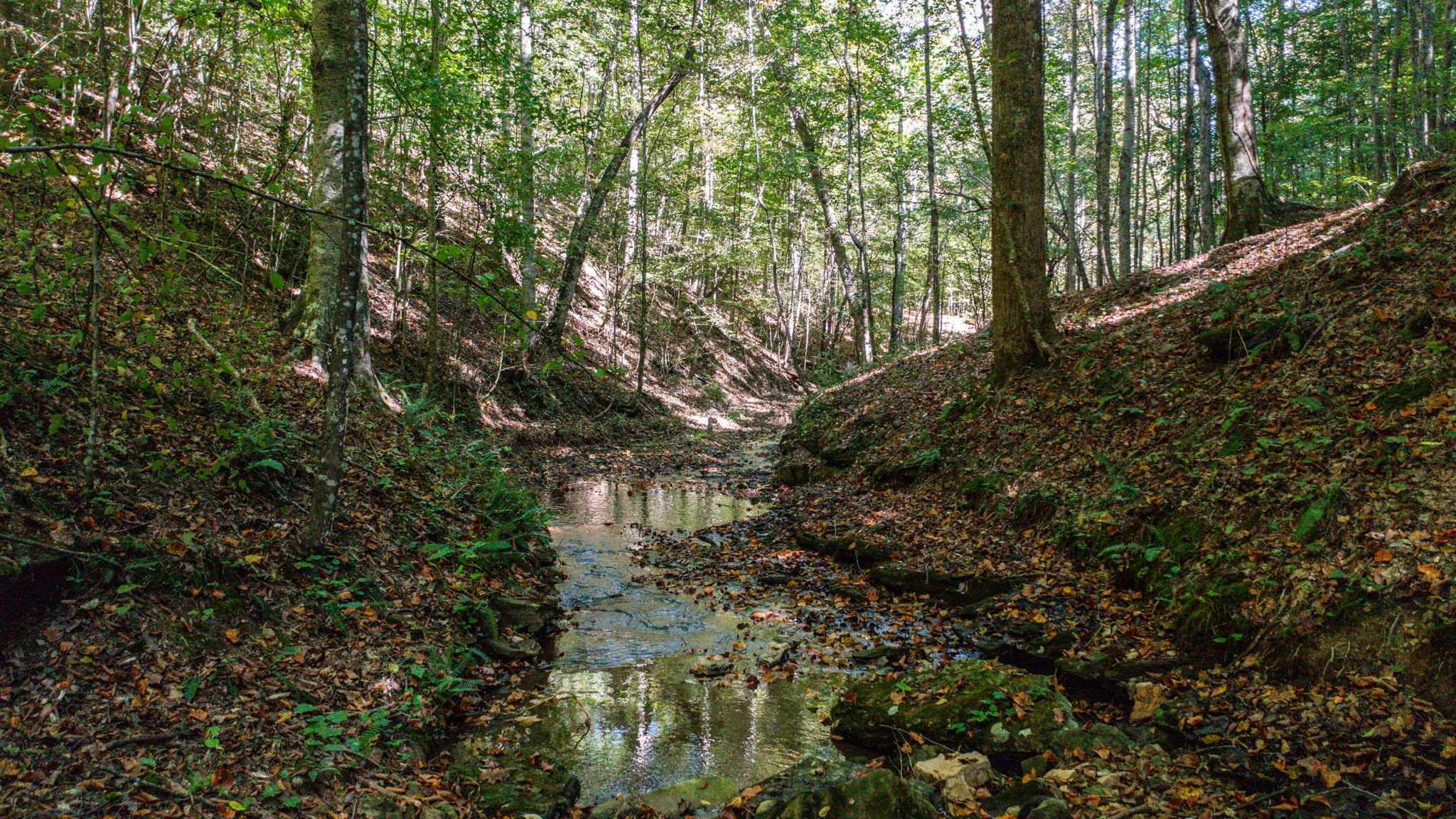 2341 Rhea Branch Road Ethridge, TN 38456 - Photo 66 of 70 Gallery Image 66