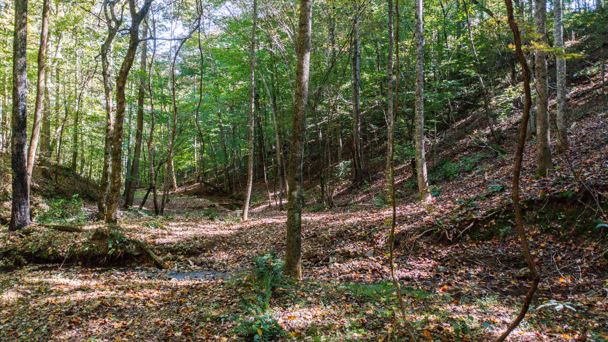2341 Rhea Branch Road Ethridge, TN 38456 - Photo 68 of 70 Gallery Image 68