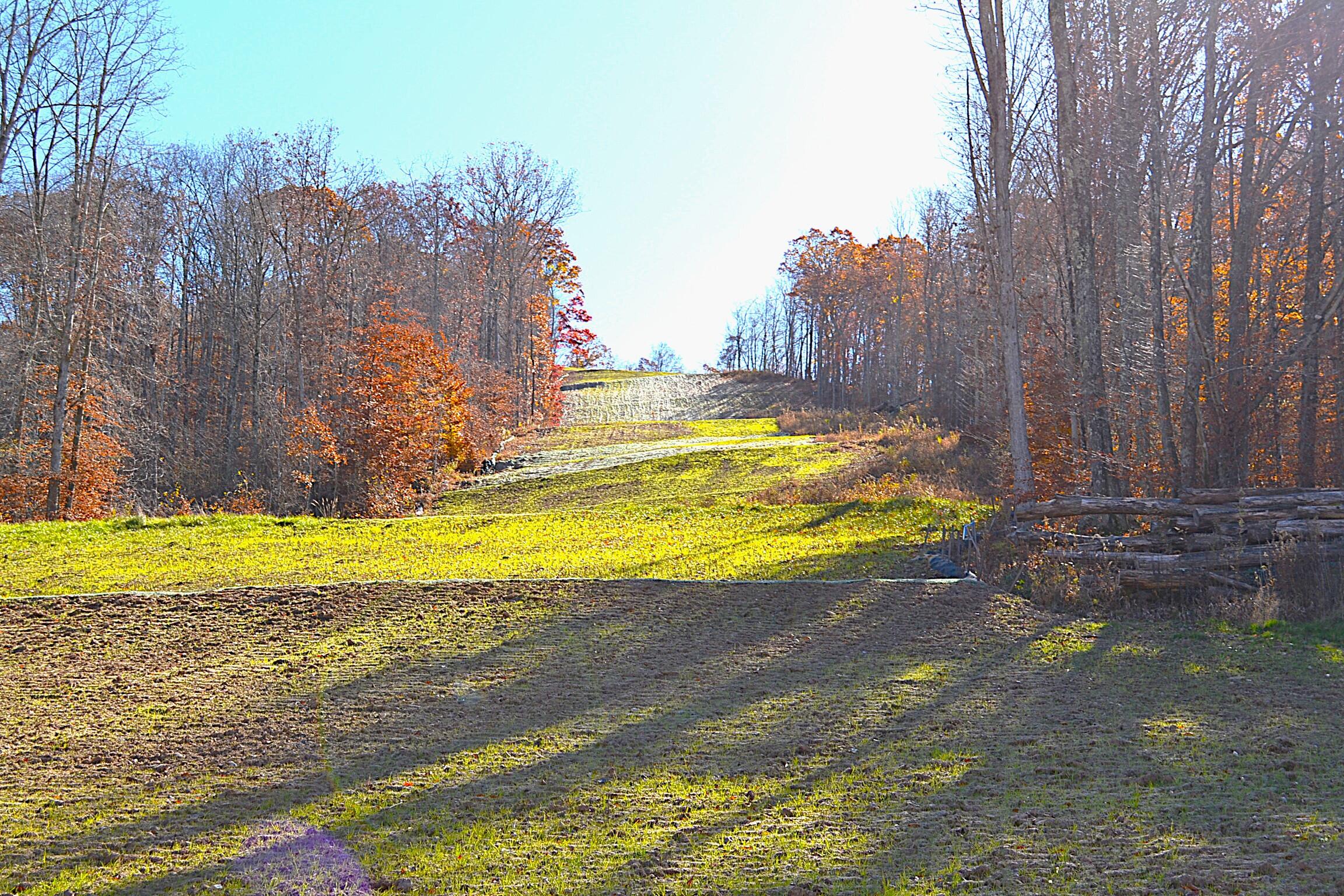 602 Carr-Summerfield Road Rainelle, WV 25962 - Photo 18 of 42 Gallery Image 18