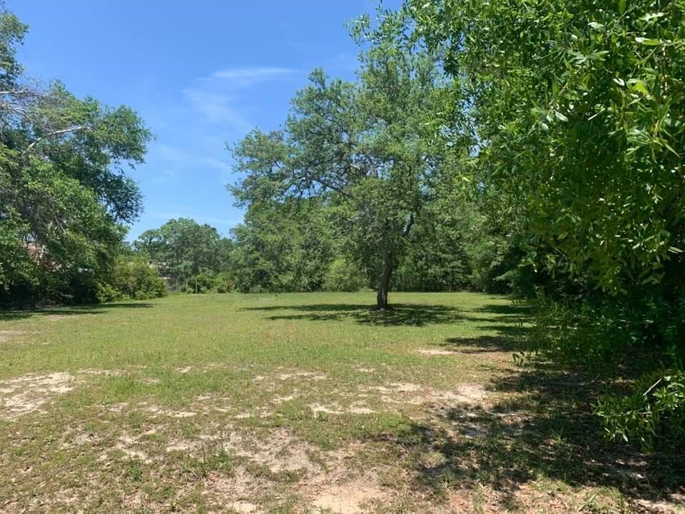 9440 Soldier Creek Road Lillian, AL 36549 - Photo 4 of 6