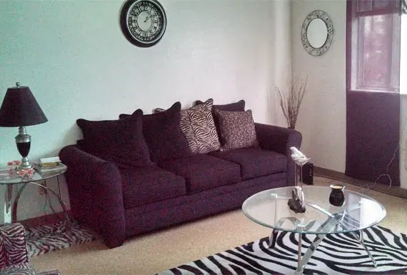 a living room with furniture a mirror and a rug