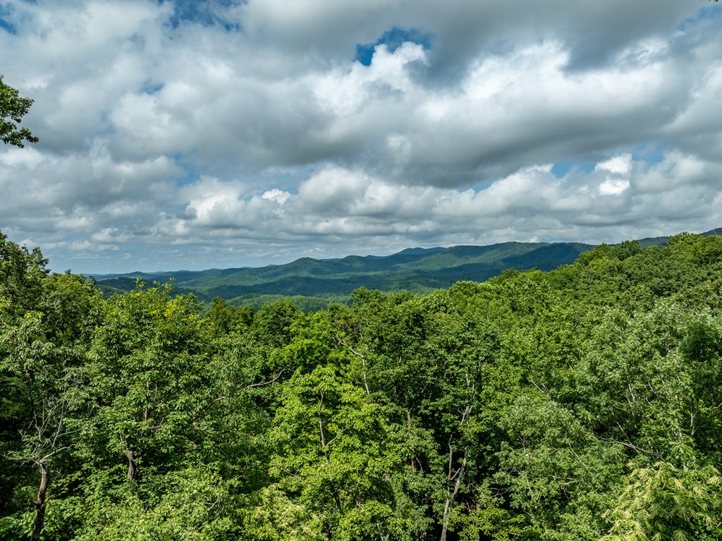 107 Little Bushy Head Road Blue Ridge, GA 30513 - Photo 41 of 43 Gallery Image 41