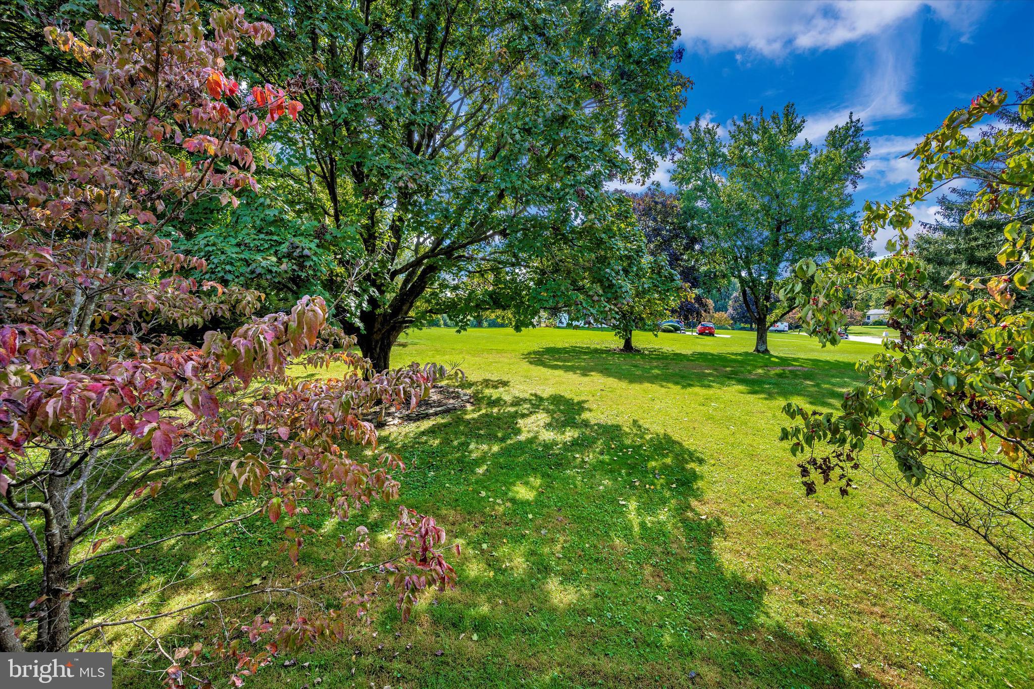 3261 Sharp Road Glenwood, MD 21738 - Photo 24 of 33 View of rear yard from the deck