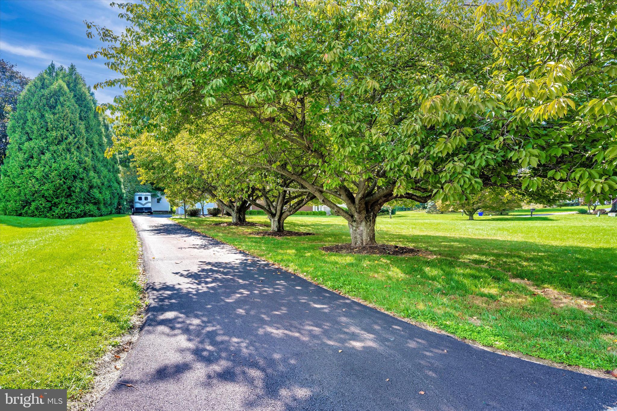 3261 Sharp Road Glenwood, MD 21738 - Photo 26 of 33 Newly paved, tree lined asphalt driveway