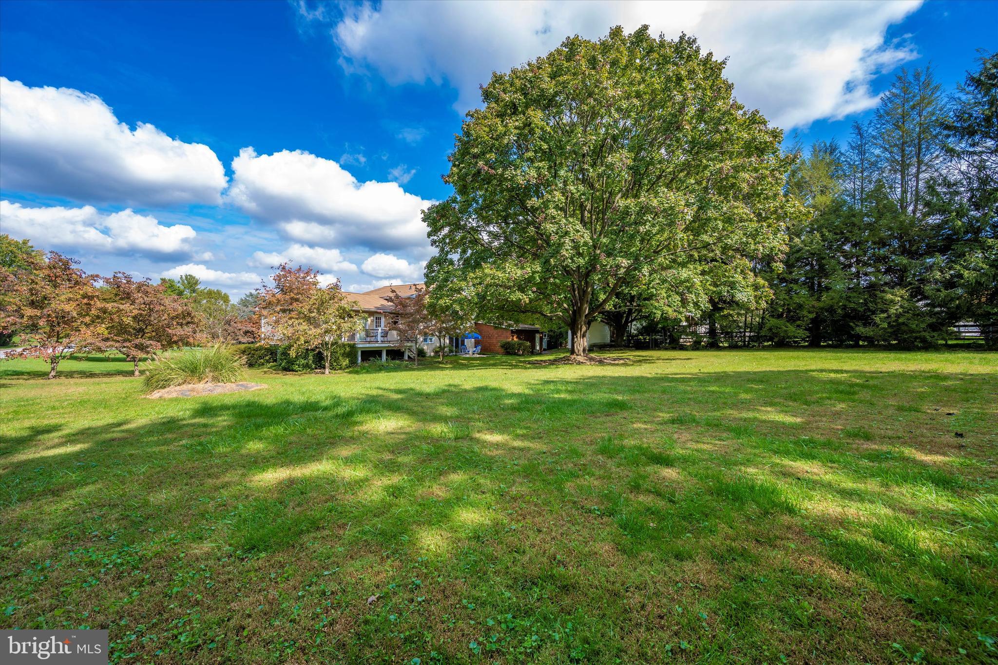 3261 Sharp Road Glenwood, MD 21738 - Photo 27 of 33 Level rear yard, lots of room for sports or partys