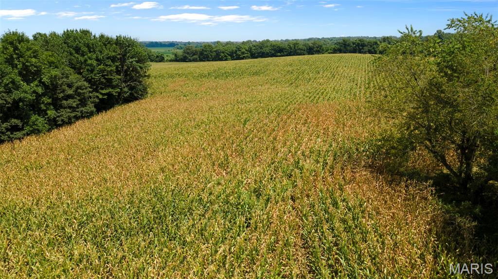 16314 State Hwy K Bloomfield, MO 63825 - Photo 16 of 83