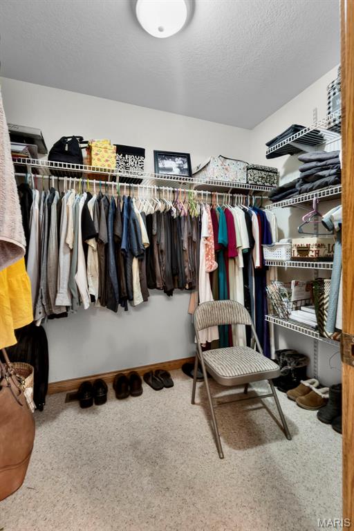 16314 State Hwy K Bloomfield, MO 63825 - Photo 46 of 83