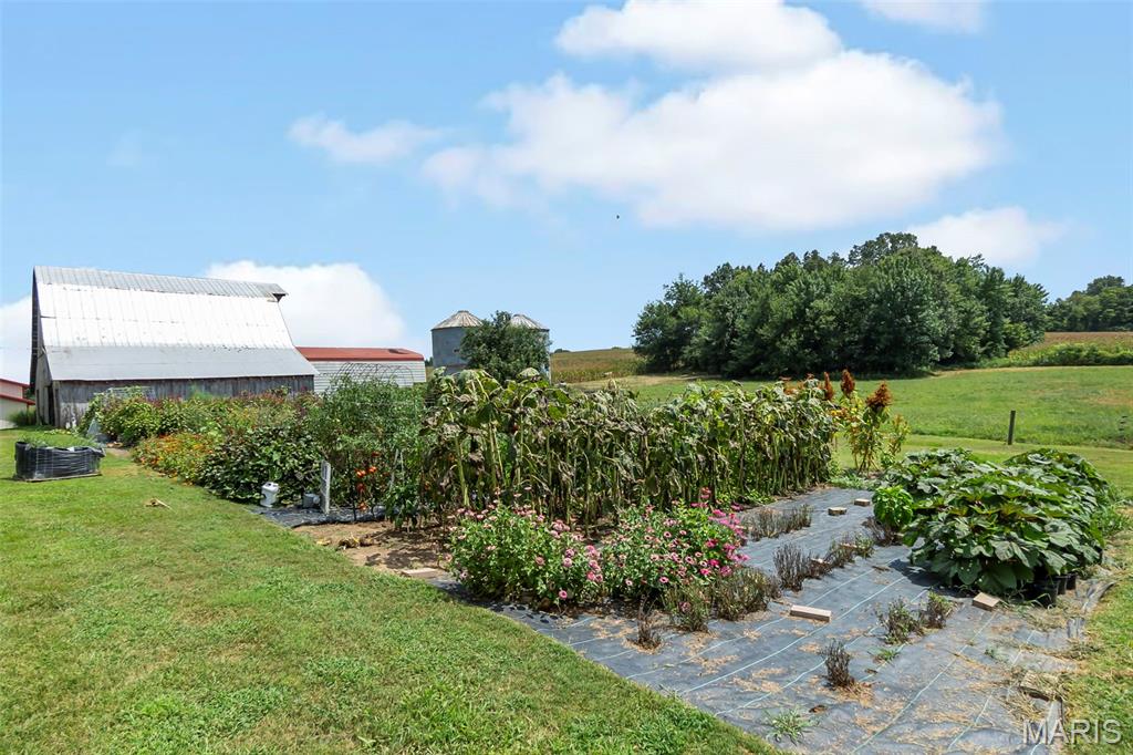 16314 State Hwy K Bloomfield, MO 63825 - Photo 76 of 83