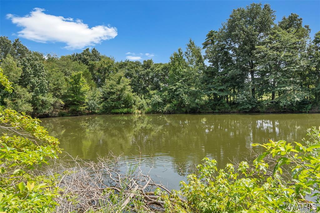 16314 State Hwy K Bloomfield, MO 63825 - Photo 80 of 83