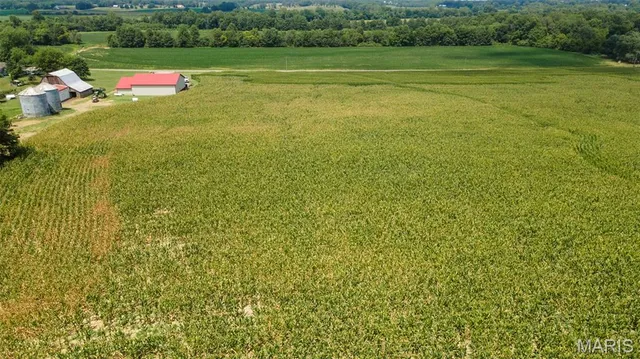 $727,400 | 16314 State Hwy K, Bloomfield, MO 63825