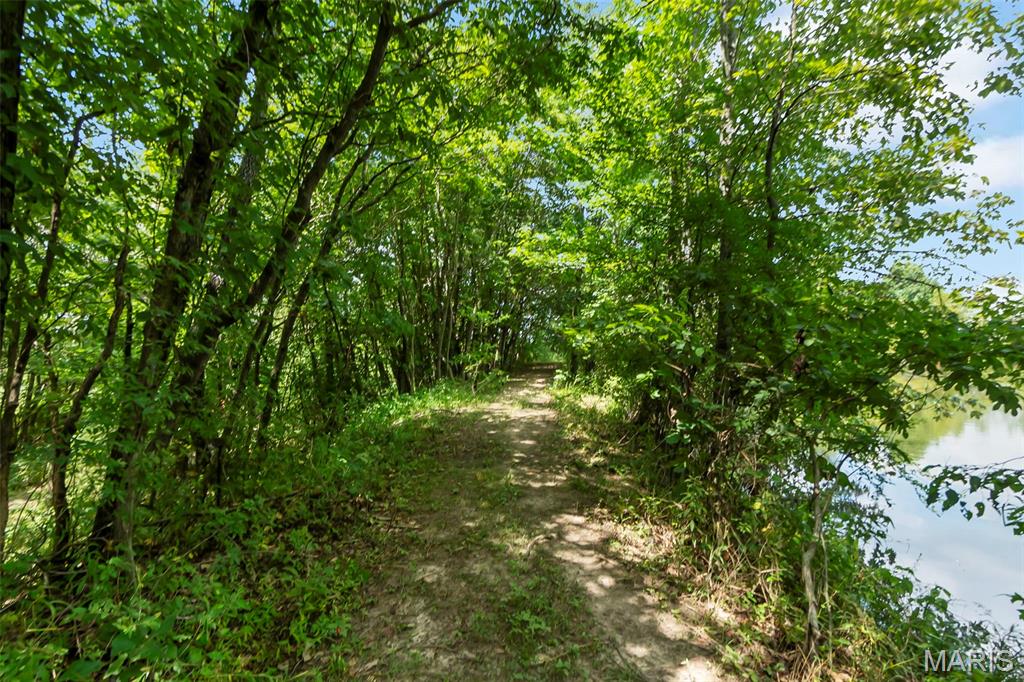 16314 State Hwy K Bloomfield, MO 63825 - Photo 81 of 83