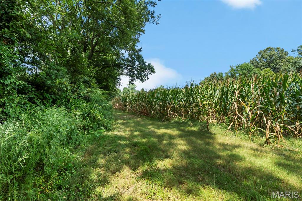 16314 State Hwy K Bloomfield, MO 63825 - Photo 83 of 83