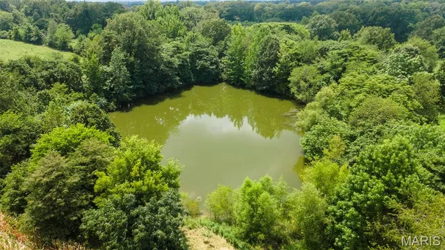 $727,400 | 16314 State Hwy K, Bloomfield, MO 63825